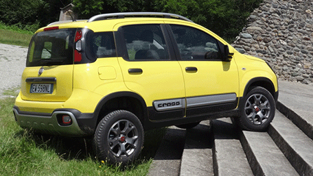 Fiat Panda cross Images