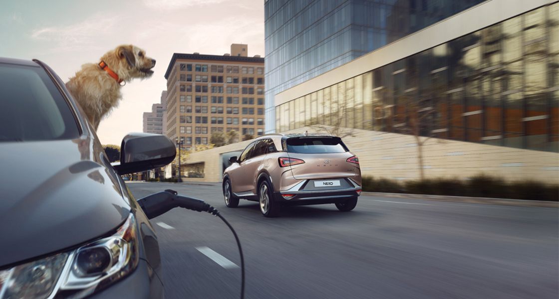 Hyundai Nexo Images