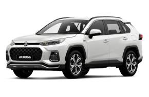 SUZUKI ACROSS ESTATE at Threeways  Abergele